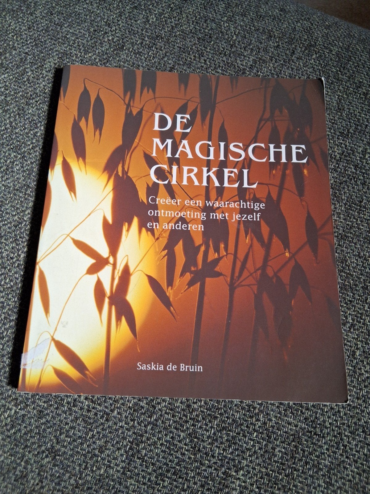 Saskia de Bruin - De magische cirkel, Spiritualiteit algemeen, Overige typen, Ophalen of Verzenden, Zo goed als nieuw