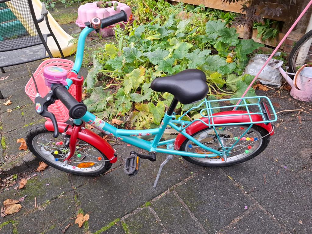 Kinderfiets 18 inch, Ophalen, Gebruikt, 16 tot 20 inch