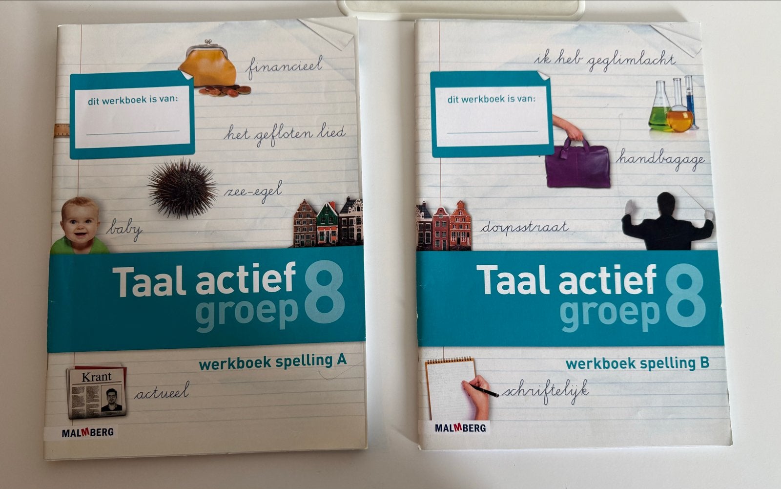 Taal actief groep 8 werkboek spelling A en B, Boeken, Schoolboeken, Ophalen, Gelezen, Overige niveaus, Nederlands