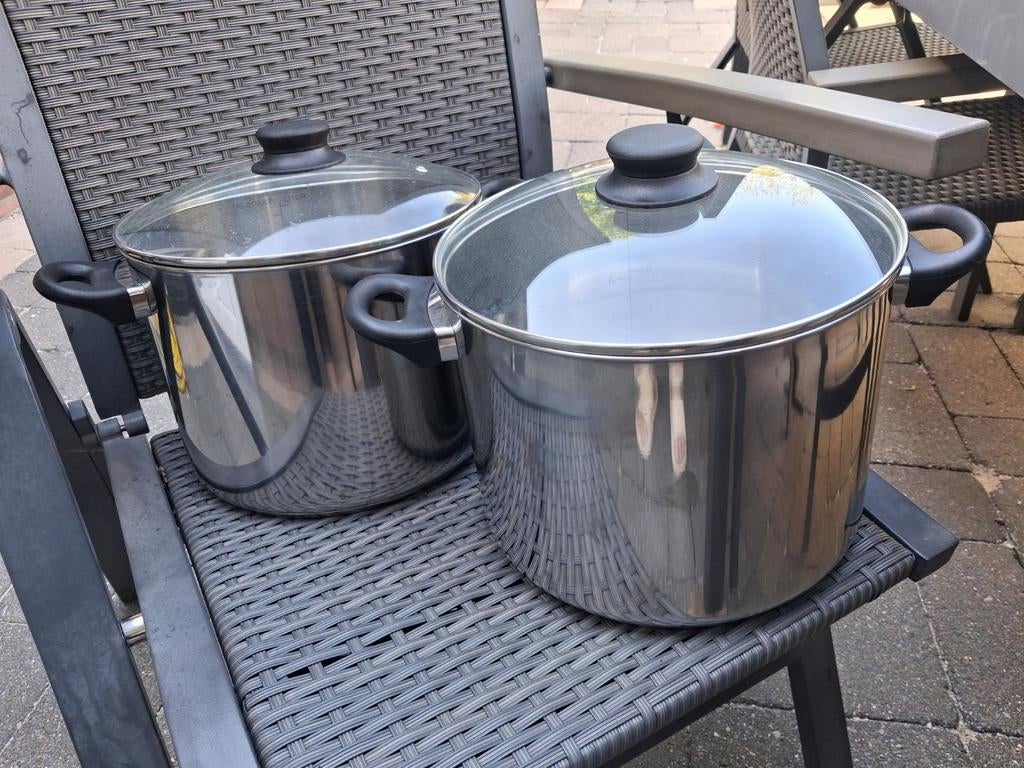 Set van 2 RVS kookpannen met glazen deksels, Ophalen, Gebruikt, Rvs, Kookpan of Snelkookpan