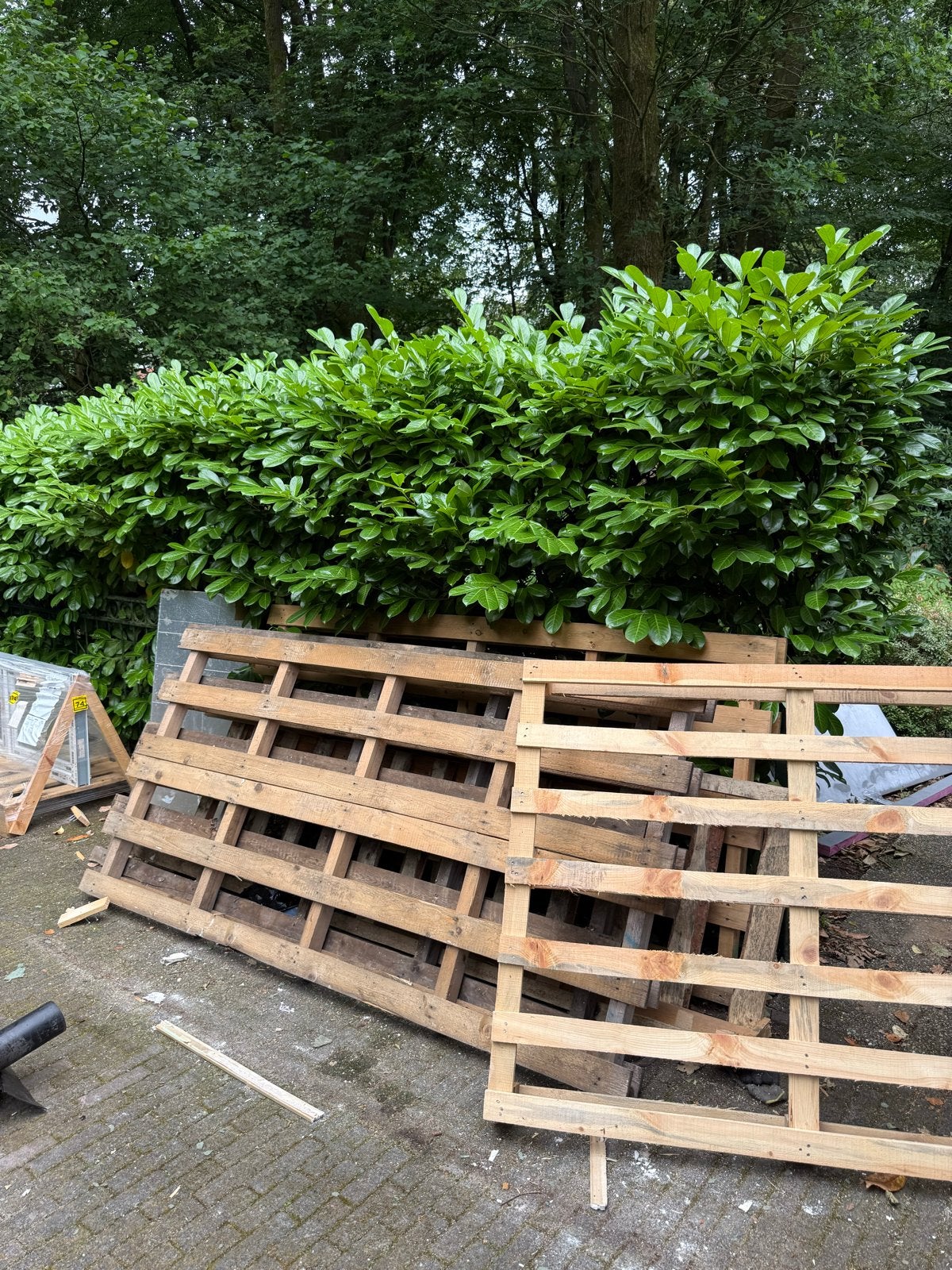 Gratis af te halen: Meerdere grote pallets, Ophalen, Gebruikt, Hout