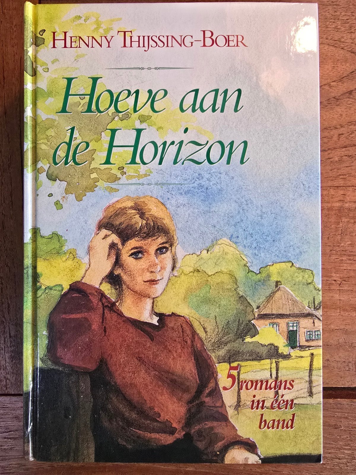 Hoeve aan de Horizon - Henny Thijssing-Boer, Boeken, Nieuw, Ophalen of Verzenden, Henny Thijssing-Boer, Nederland