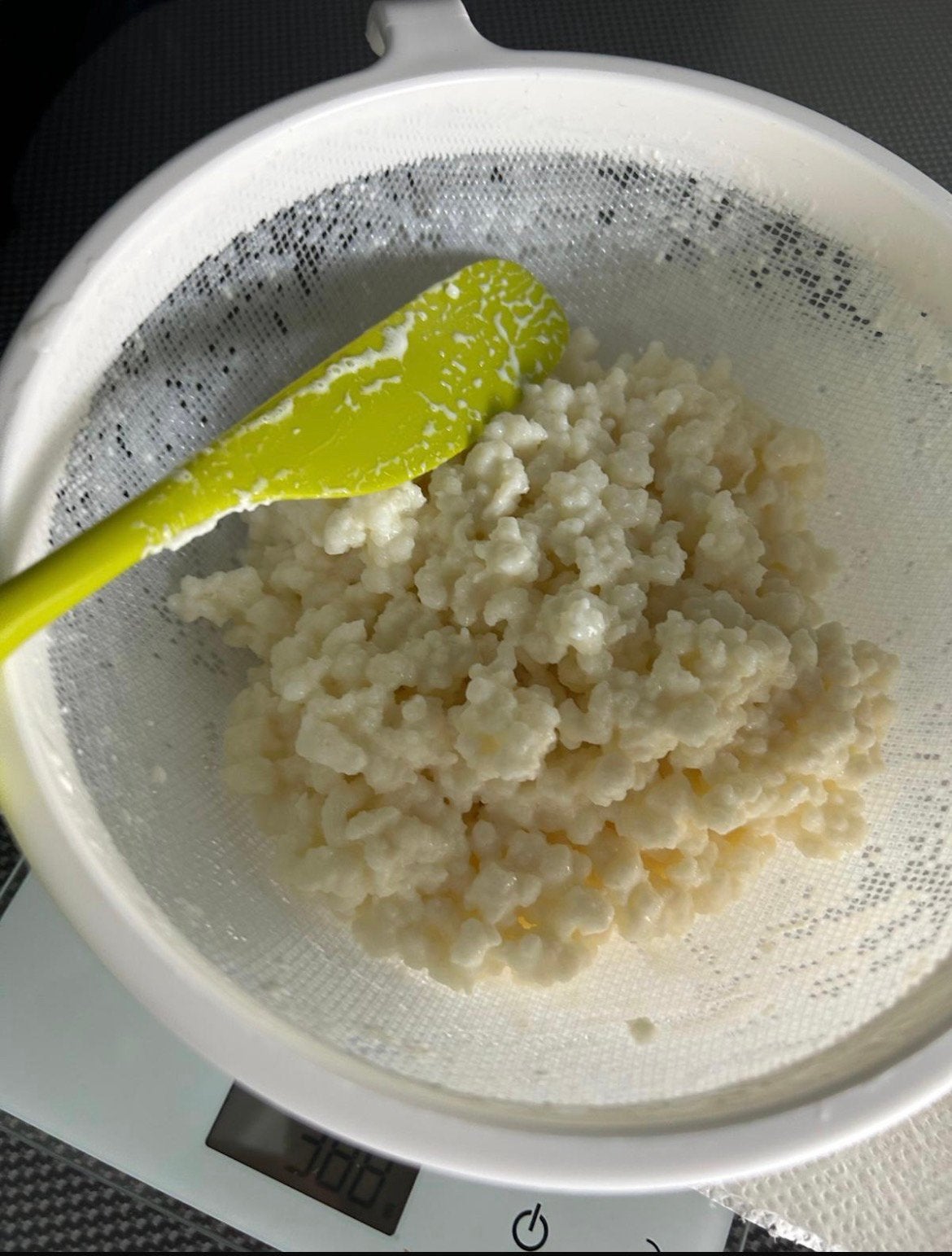 Melk kefirkorrels, Ophalen