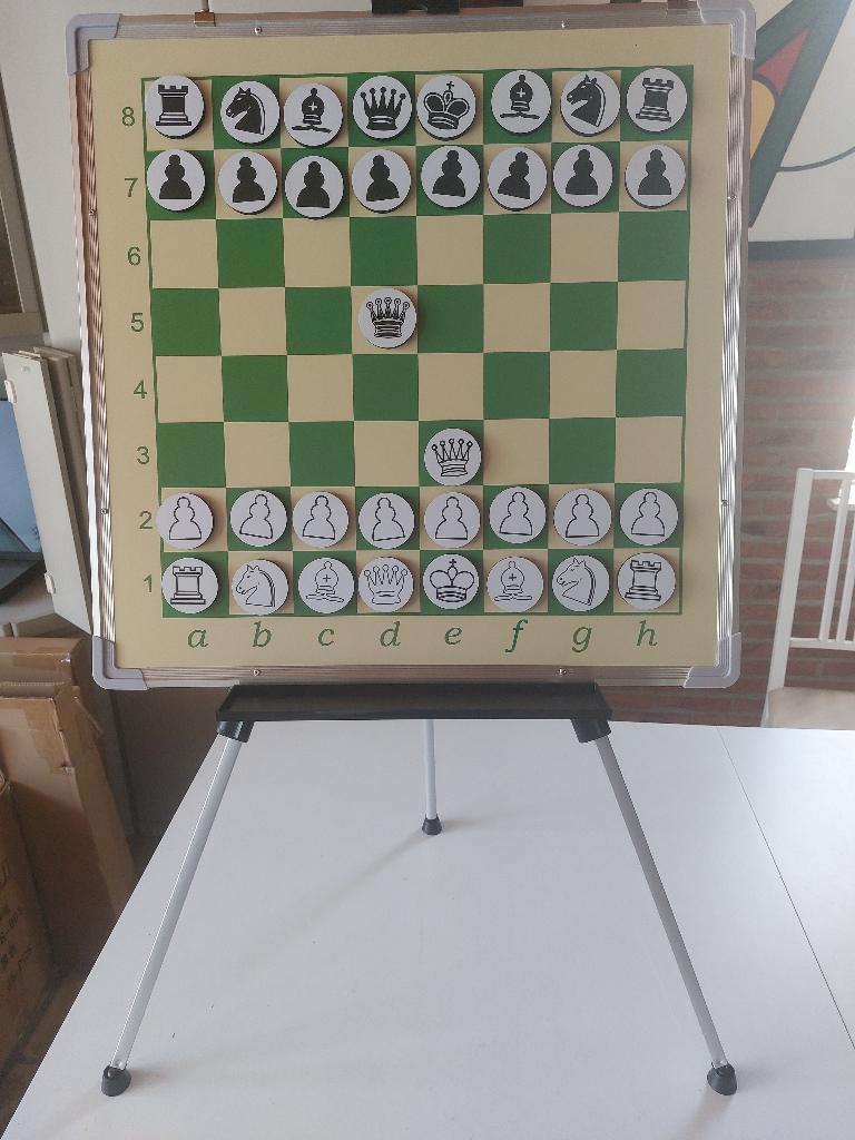 Demonstratiebord schaken / dammen, Een of twee spelers, Ophalen of Verzenden, Nieuw