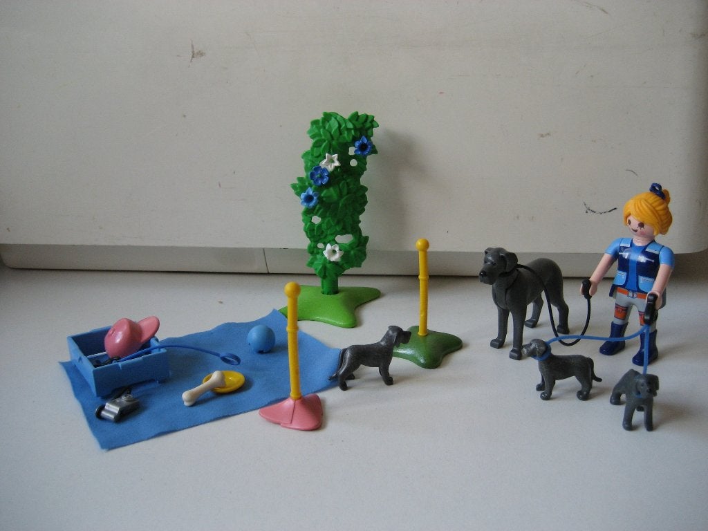 playmobil trainer met deense dog en puppy's, Ophalen of Verzenden, Zo goed als nieuw