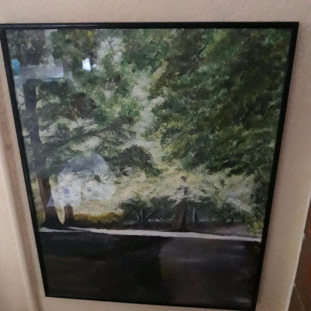 Natuur schilderijen wegens emigratie, Antiek en Kunst, Ophalen, Acrylverf, Achter glas, Realistisch