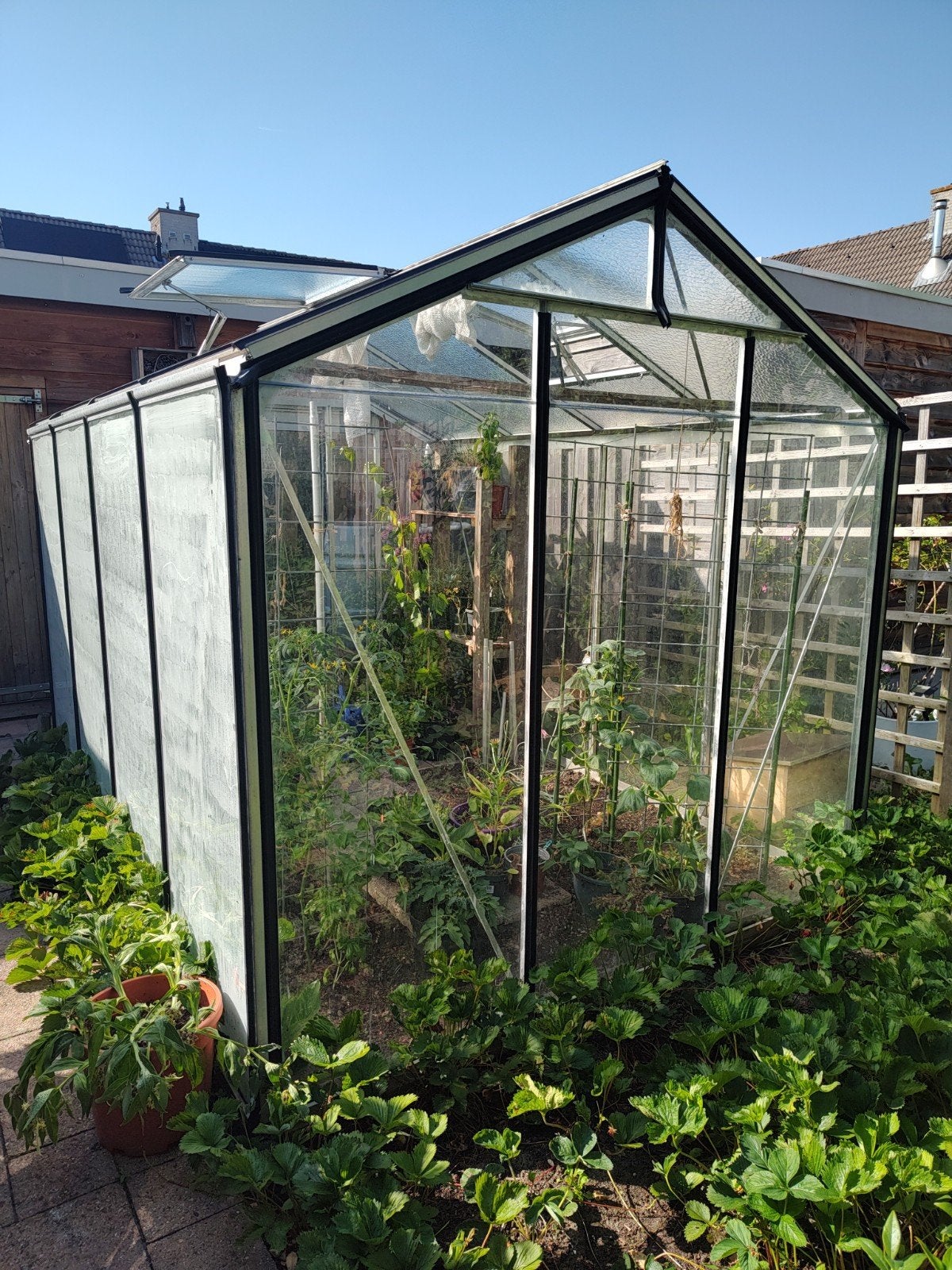 ACD Tuinkas Prestige R204 H-B 232x298cm - Blank, Tuin en Terras, Kassen, Ophalen, Kweekkas, Zo goed als nieuw, Glas