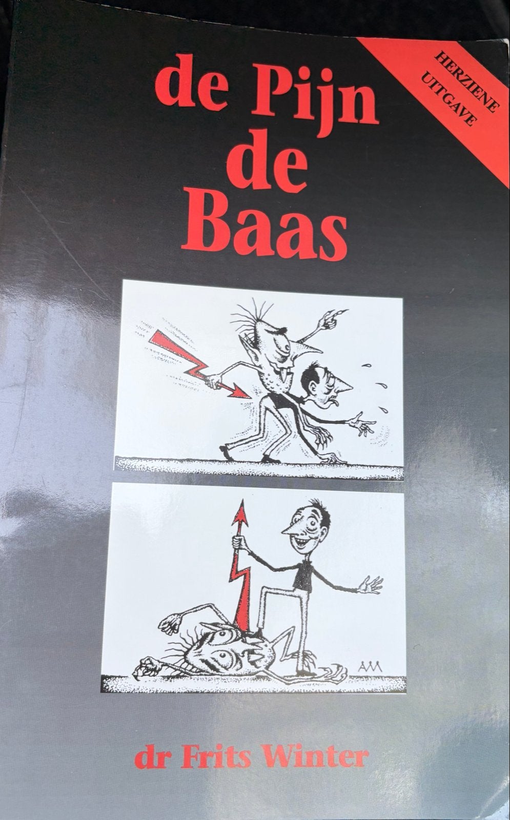 De Pijn de Baas - Dr. Frits Winter (Herziene Uitgave), Boeken, Ophalen of Verzenden, Zo goed als nieuw, Gezondheid en Conditie