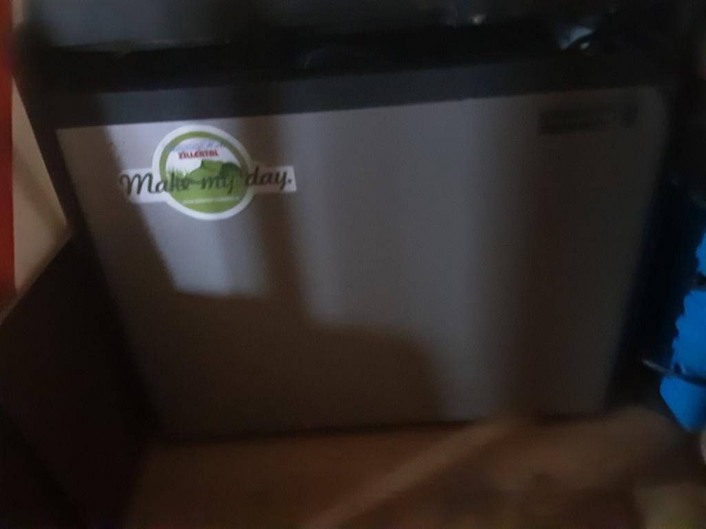 Elektrische koelbox 12V/230V - Ideaal voor auto en camping, Caravans en Kamperen, Koelboxen, Ophalen of Verzenden, Gebruikt, Koelbox