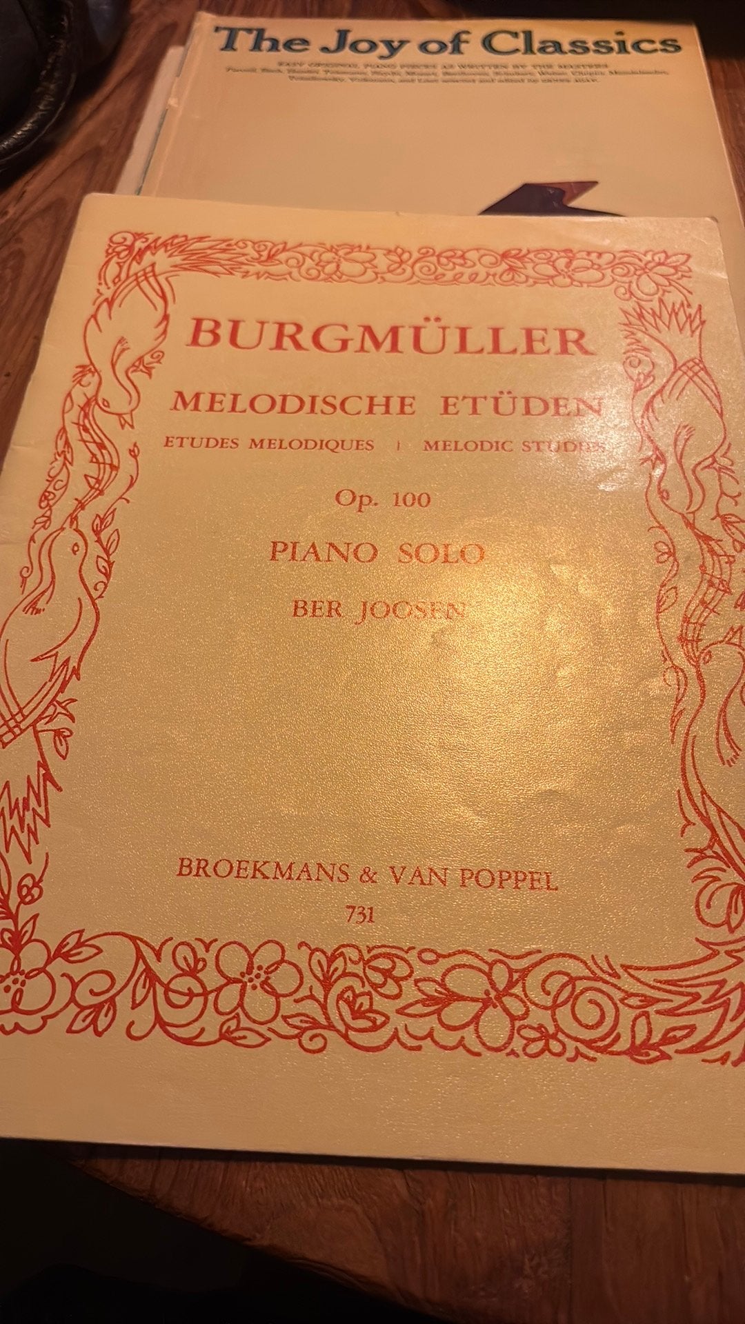 Piano boek – Burgmüller Melodische Etüden Op. 100, Muziek en Instrumenten, Bladmuziek, Gebruikt, Verzenden, Klassiek, Artiest of Componist