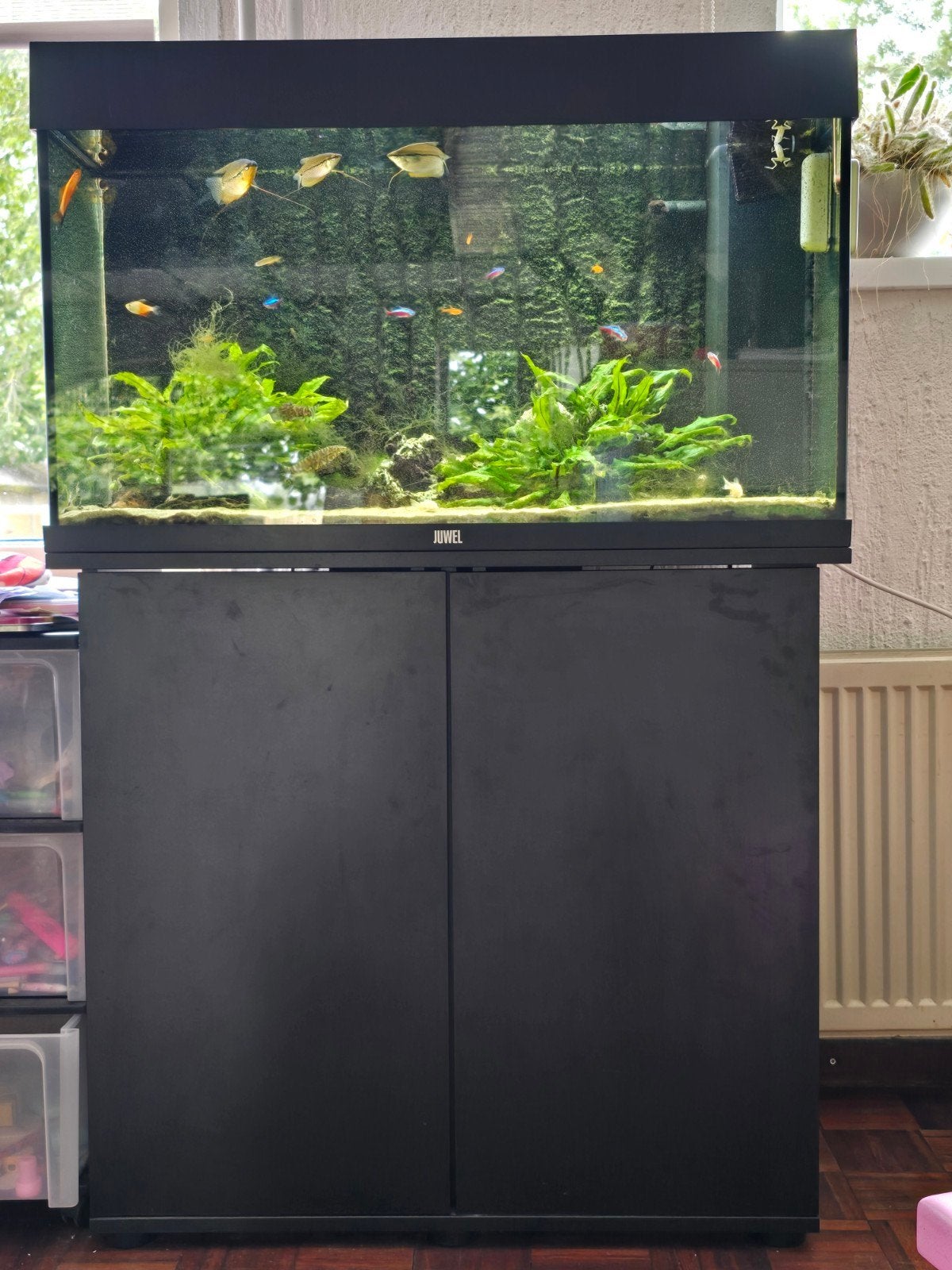Juwel Rio 125 liter, Ophalen, Gebruikt, Leeg aquarium