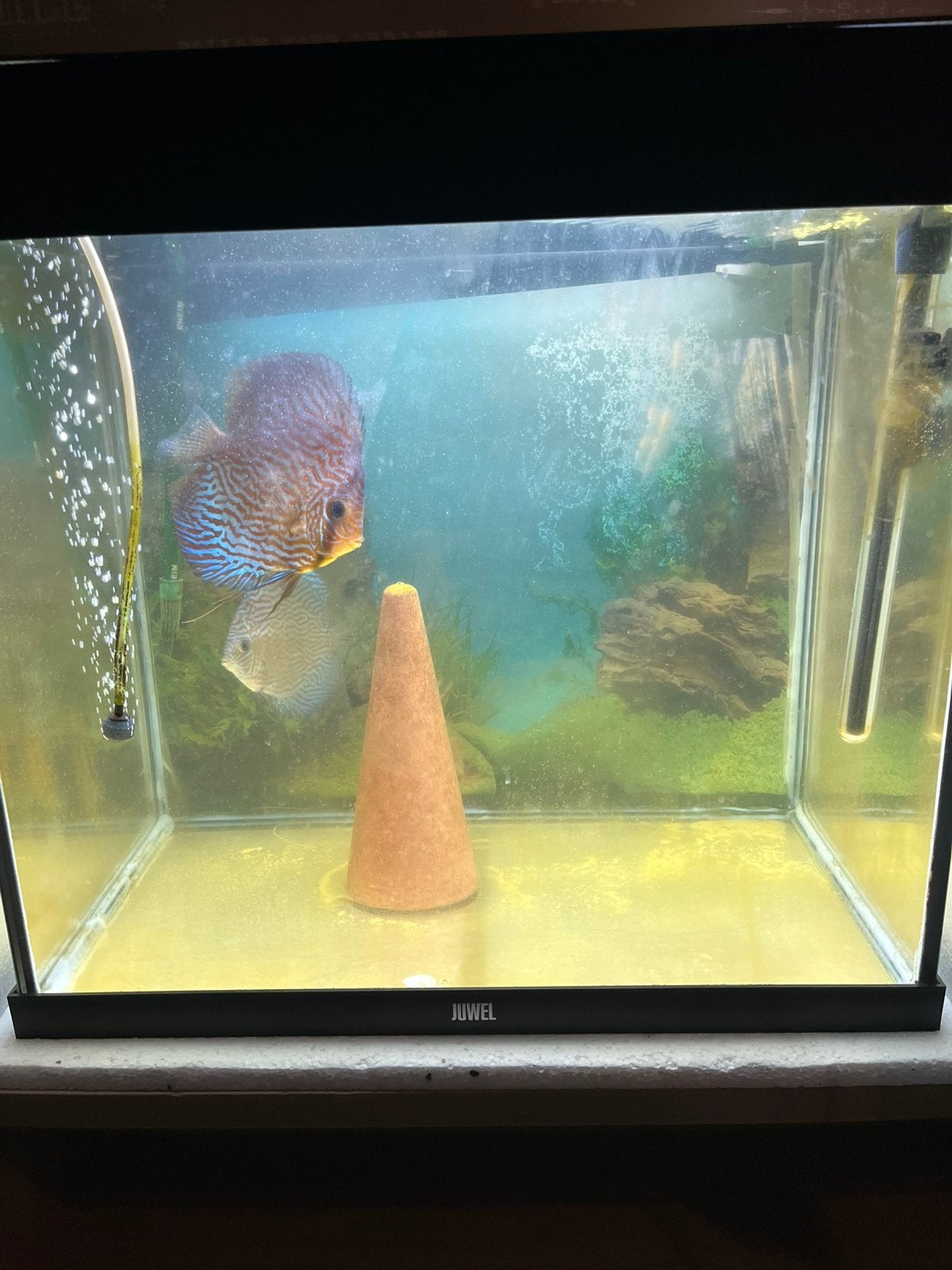 Juwel lido 120, Dieren en Toebehoren, Vissen | Aquaria en Toebehoren, Ophalen, Zo goed als nieuw, Leeg aquarium