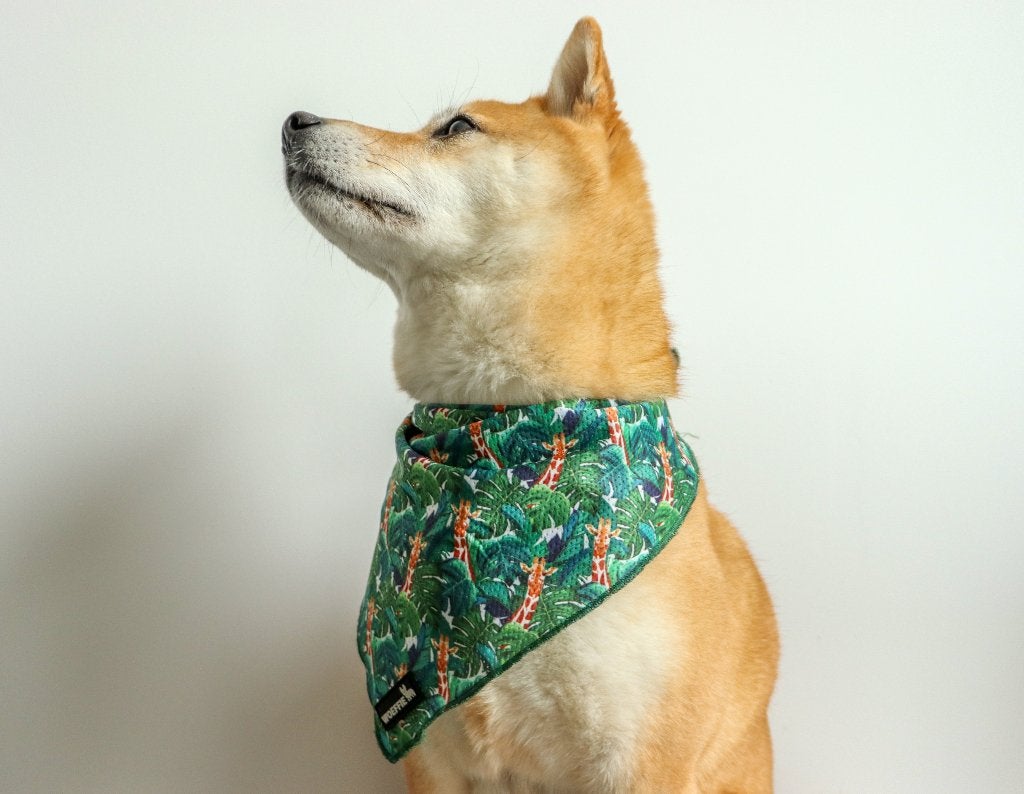 Woeffie verkoelende hondenbandana (giraffenprint), Dieren en Toebehoren, Ophalen of Verzenden, Zo goed als nieuw, Hondenhalsdoek
