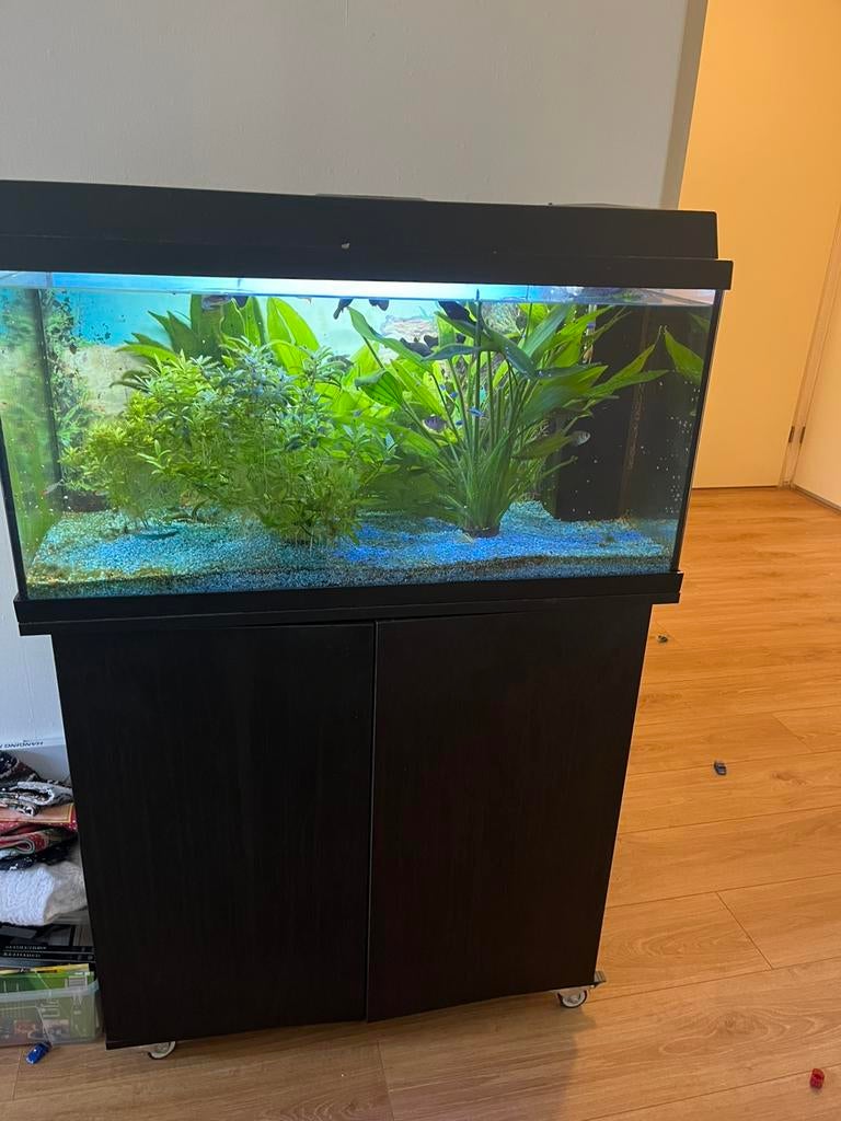 Juwel aquarium met onderkast en vissen + pomp, Ophalen, Gebruikt, Gevuld zoetwateraquarium, Juwel