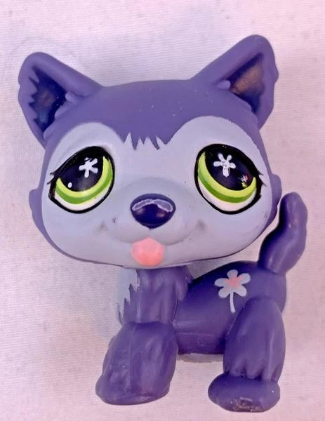 Littlest Pet Shop Hasbro LPS #487 Husky Hond Paars Grijs, Coolsingel 104, 3011 AG Rotterdam, Netherlands, Verzenden, Zo goed als nieuw