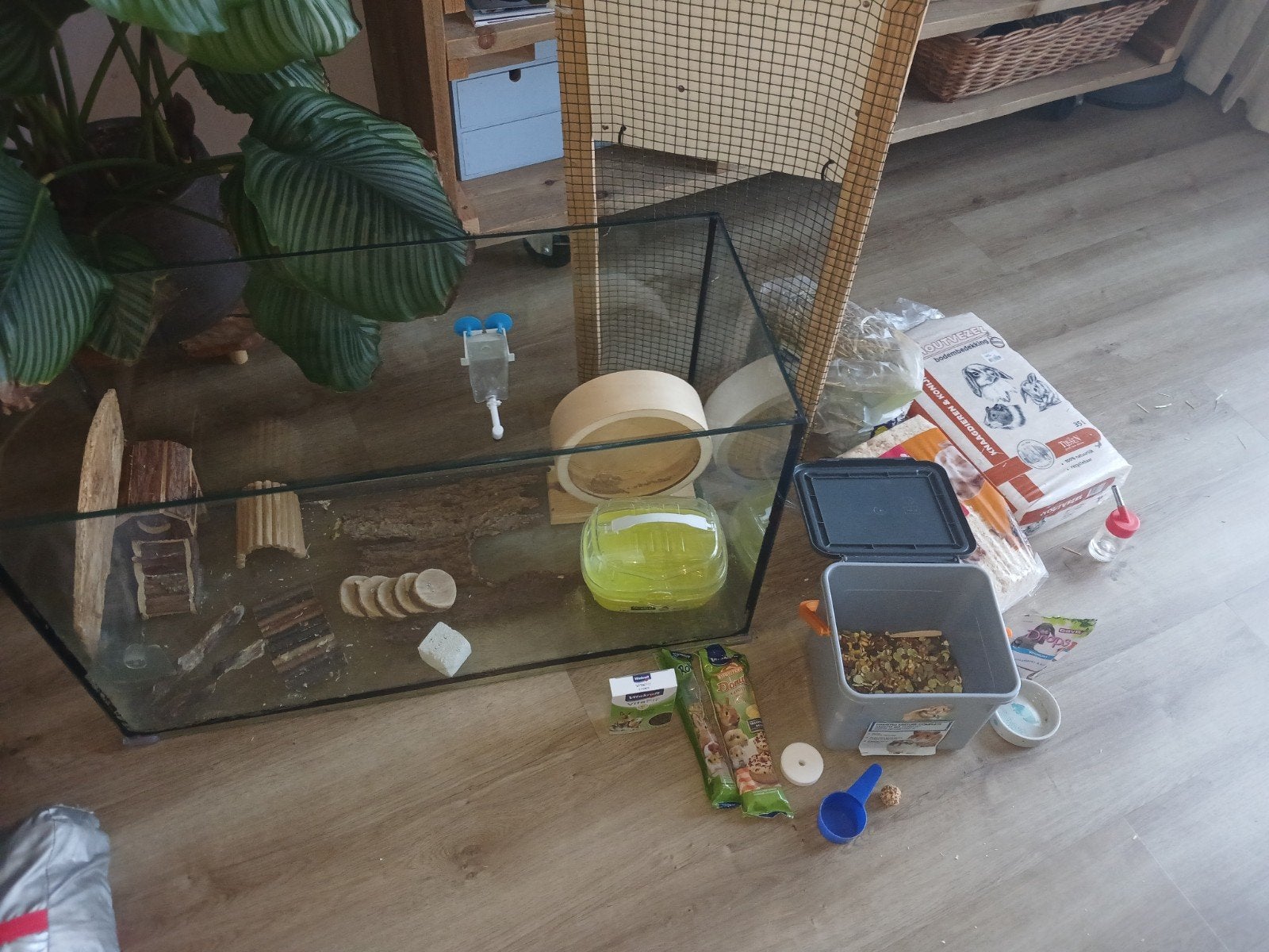 knaagdieren verblijf inclusief alles! kant en klaar, Gebruikt, Muis, 75 tot 110 cm, Ophalen