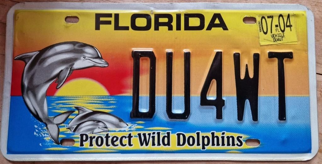 Florida Originele license plate  .Protect Wild Dolphins., Ophalen of Verzenden, Gebruikt, Auto's