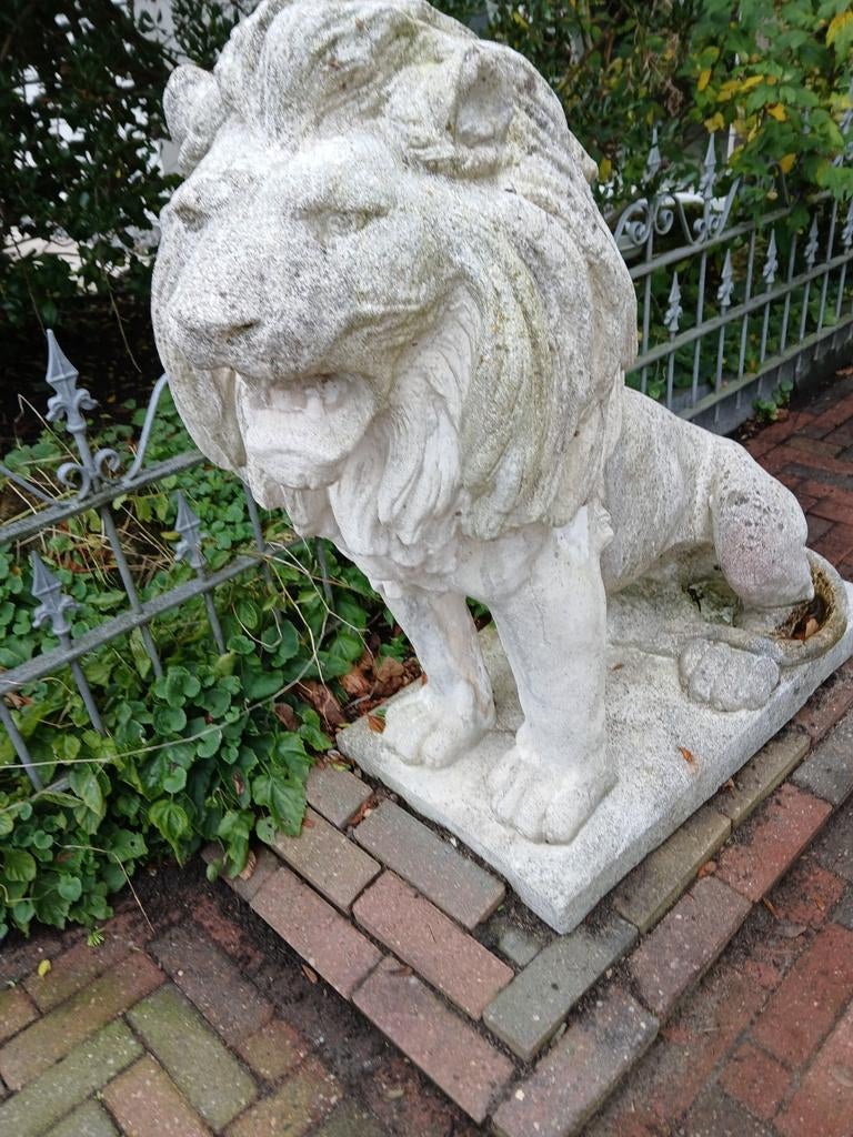 Mooie antieke leeuw van beton, Tuin en Terras, Ophalen of Verzenden, Gebruikt, Beton, Dierenbeeld