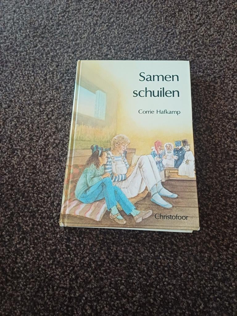 Samen schuilen - Corrie Hafkamp, Non-fictie, Ophalen of Verzenden, Zo goed als nieuw, Corrie Hafkamp