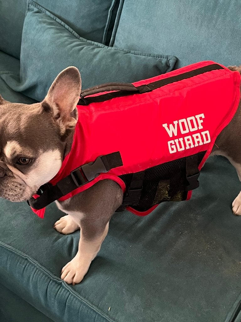 Woof Guard hondenzwemvest, Ophalen, Zo goed als nieuw