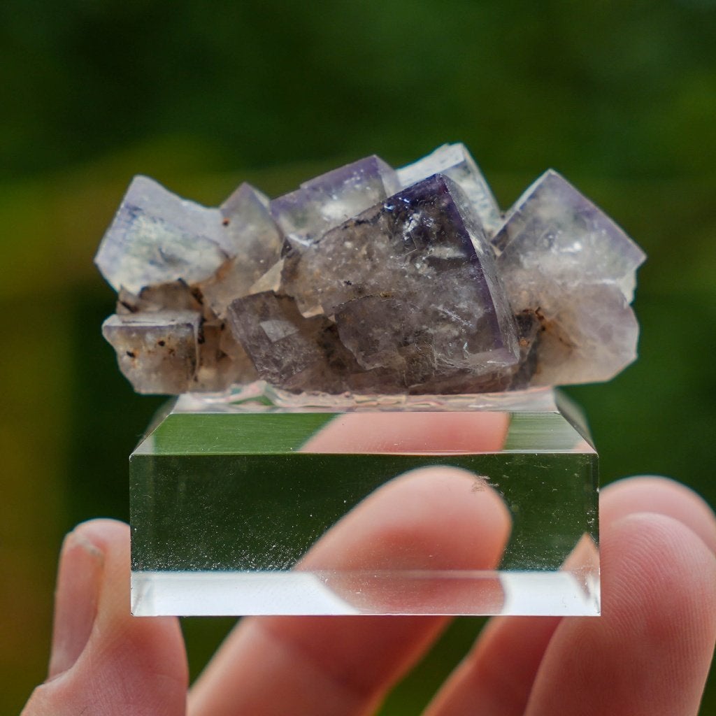 Fluoriet, Cromwell Pocket, Greenlaws mine, UK #3, Ophalen of Verzenden, Mineraal