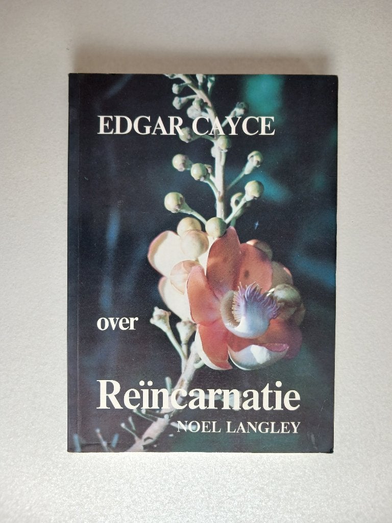 Edgar Cayce over reincarnatie - Noel Langley., Ophalen of Verzenden, Gelezen, Spiritualiteit algemeen, Achtergrond en Informatie