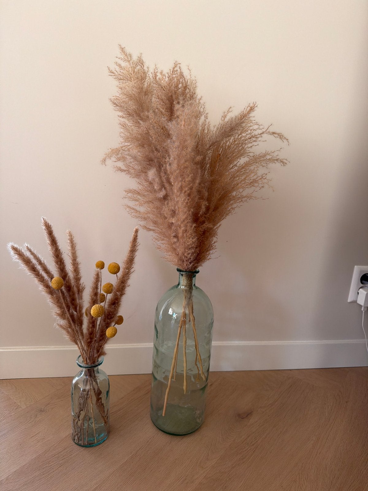 Twee vazen met decoratieve pluimen, Ophalen, Zo goed als nieuw, Overige kleuren, Glas