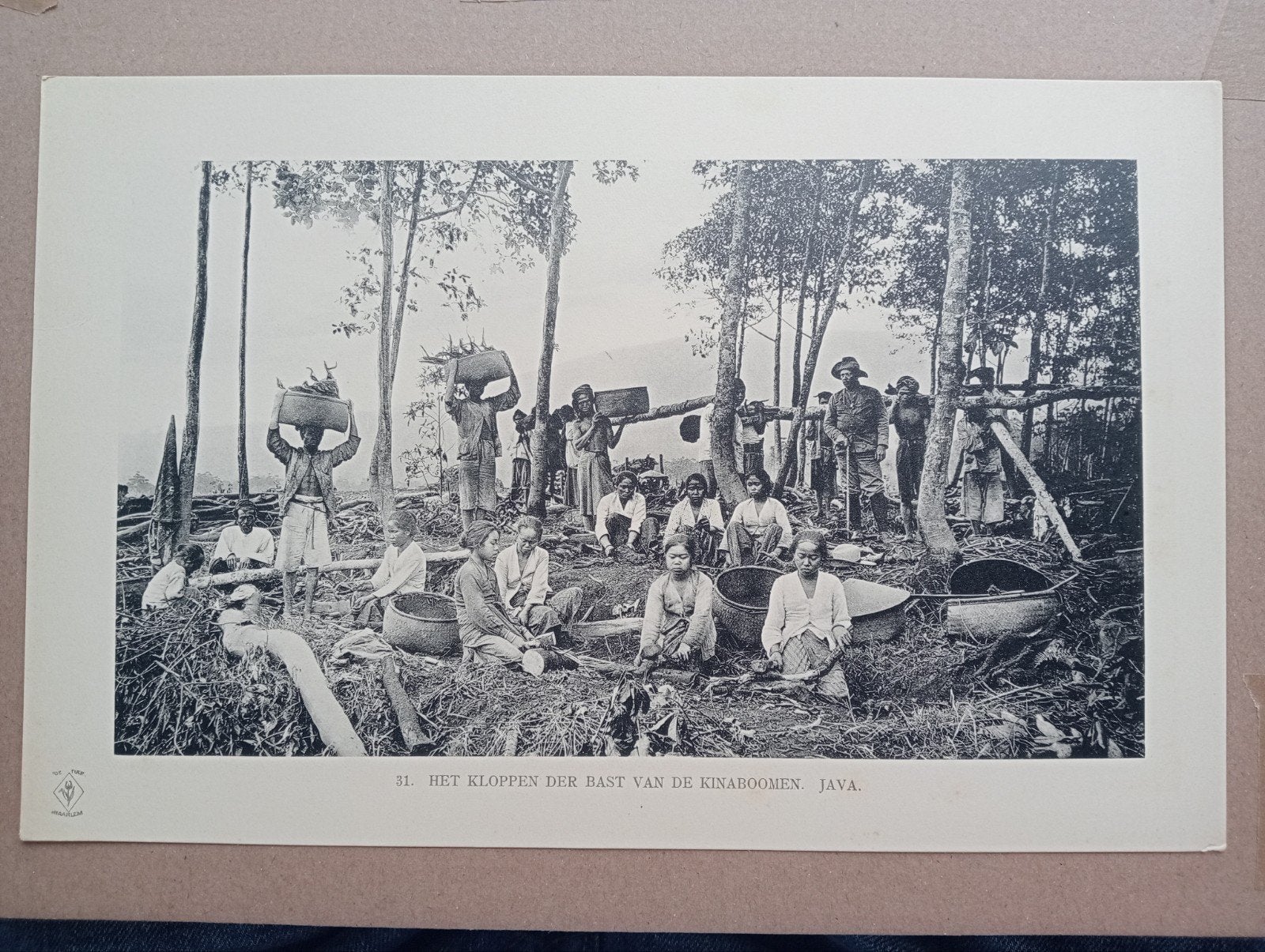 Fotogravure Nederlands Indië 1910 - Indonesia, Ophalen of Verzenden