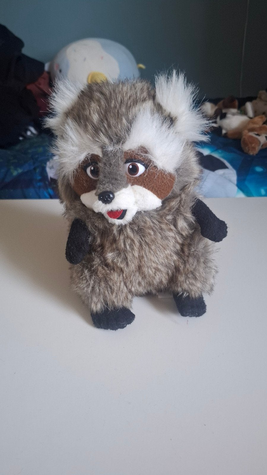 Schattige wasbeer knuffel van Slagharen, Overige merken, Overige karakters, Overige typen, Ophalen of Verzenden
