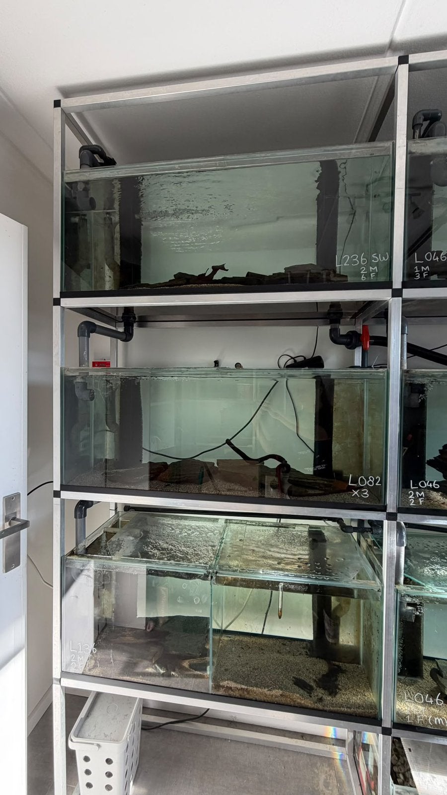 Complete professionele geautomatiseerde aquariumstelling, Ophalen, Pomp, Zo goed als nieuw, Gevuld zoetwateraquarium