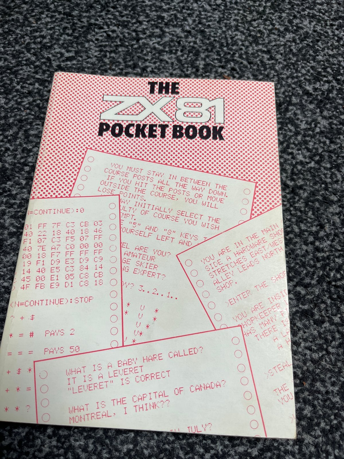 The ZX81 Pocket Book - Programmeerboek Sinclair ZX81, Ophalen of Verzenden, Zo goed als nieuw, Programmeertaal of Theorie