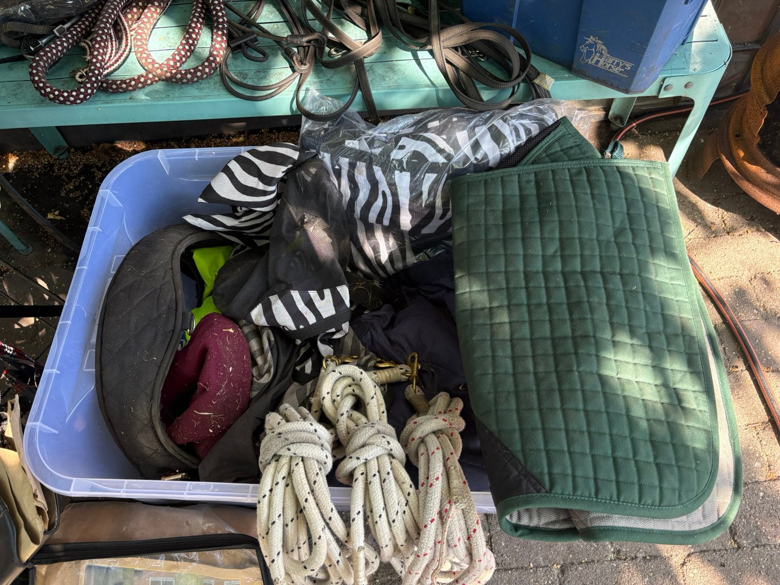Dressuurzadel, bitlooshoofdstel, leadrope, longeersingel etc, Dieren en Toebehoren, Ophalen, Zo goed als nieuw, Overige typen