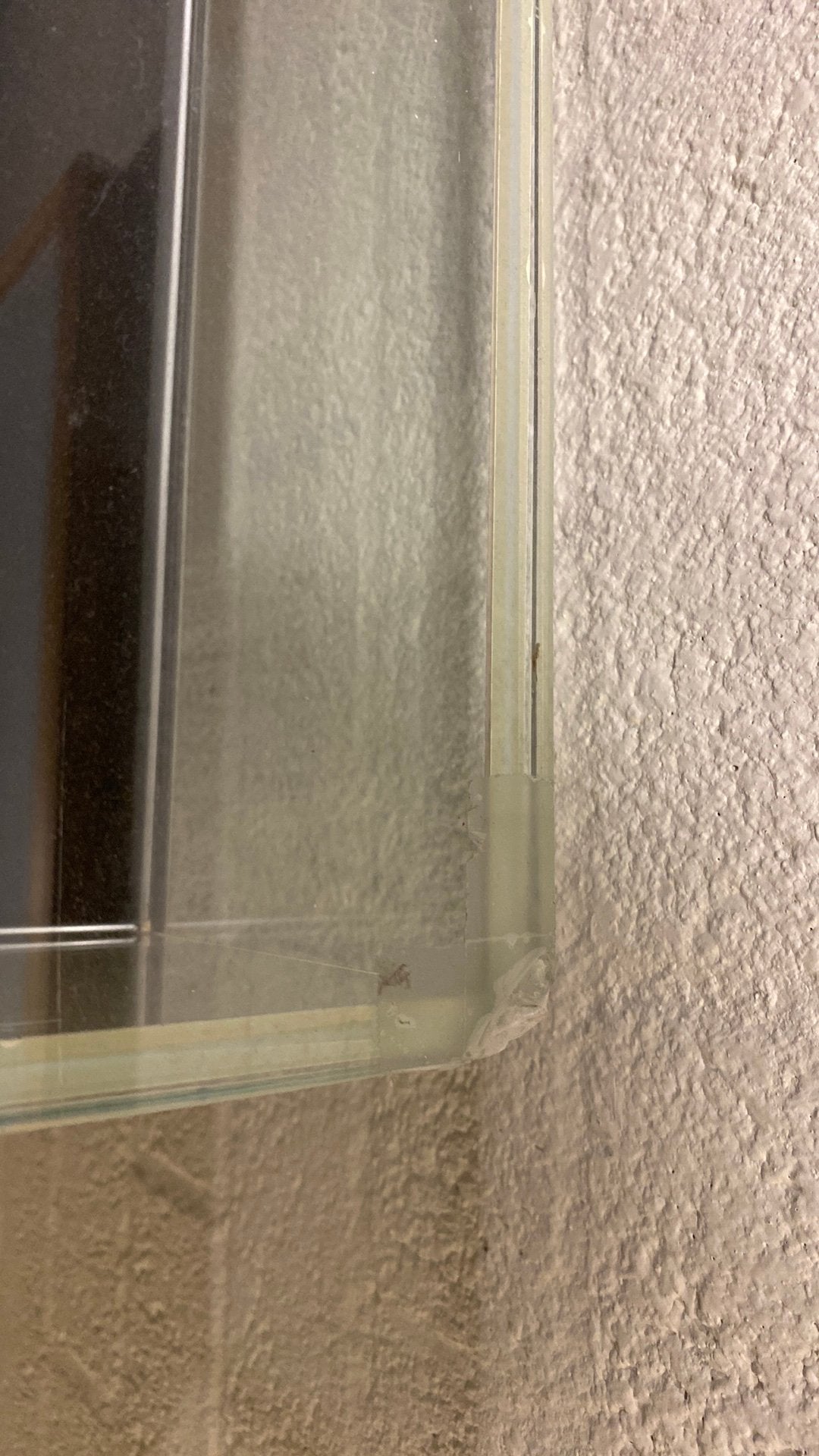 Tafelvitrine, Ophalen, Gebruikt, Glas, 150 tot 200 cm