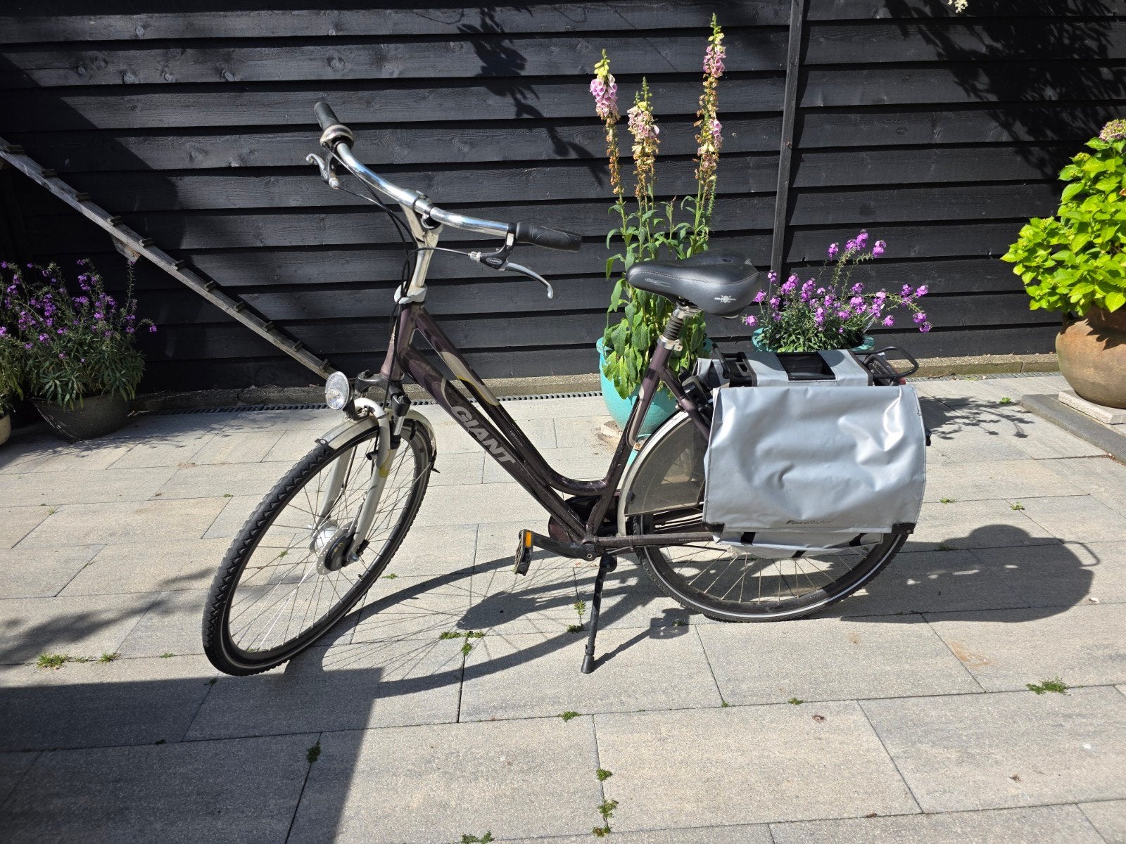 Giant Energy DX Damesfiets - Gebruikt, in goede staat, Ophalen, Gebruikt, Versnellingen, Trommelrem