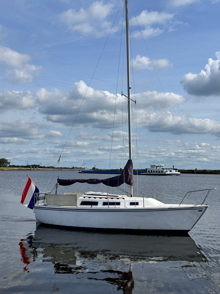 Catalina 25, Ophalen, Gebruikt, Tourjacht of cruiser, 8 m