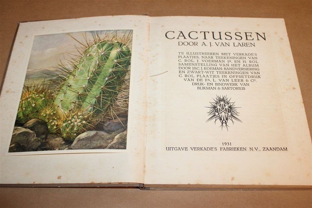 Cactussen — Verkade Album 1931, Compleet met Plaatjes, Ophalen of Verzenden, Gelezen