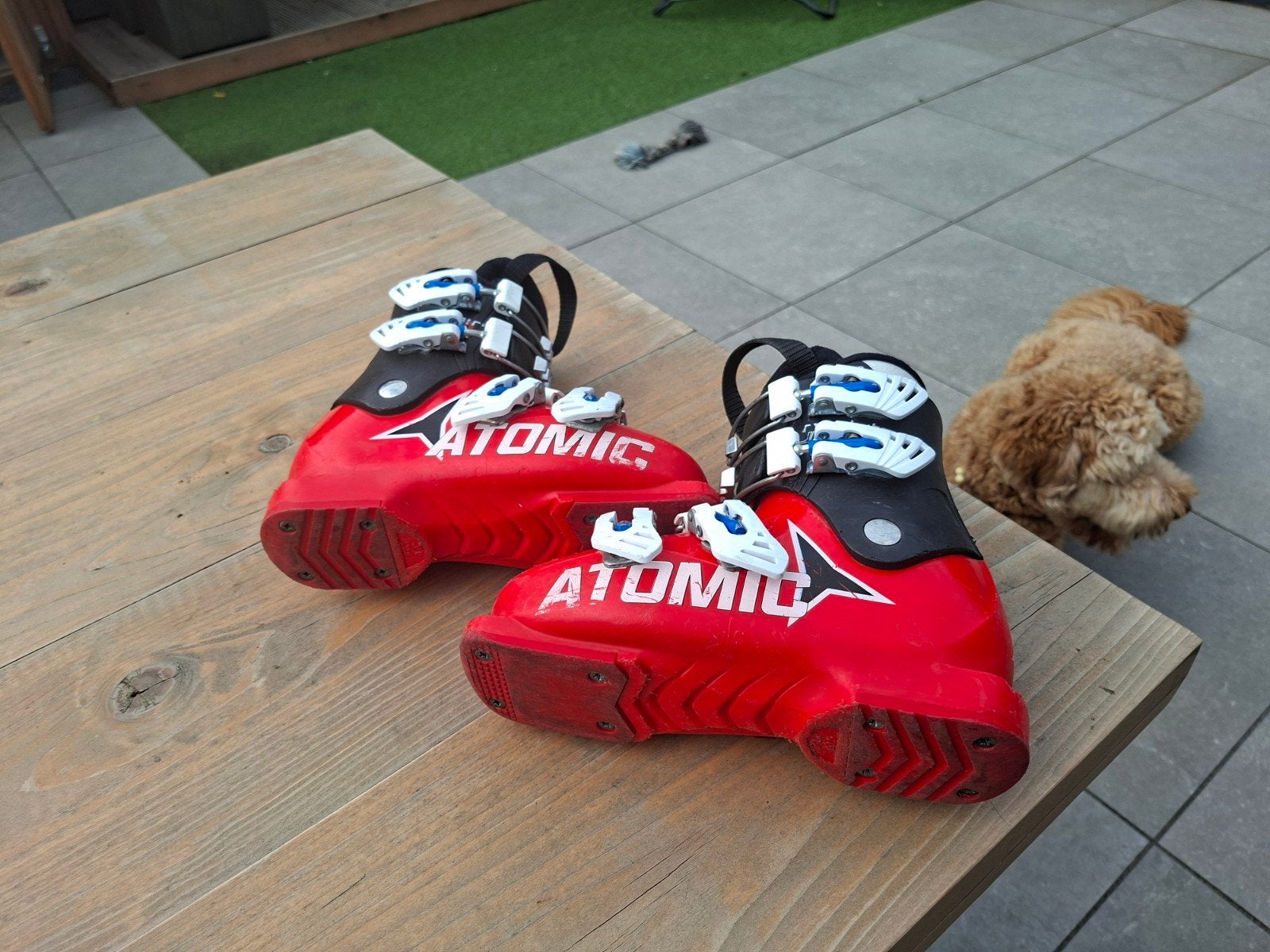 Atomic skischoenen maat 30,5 - 31, Ophalen, Gebruikt, Schoenen, Atomic