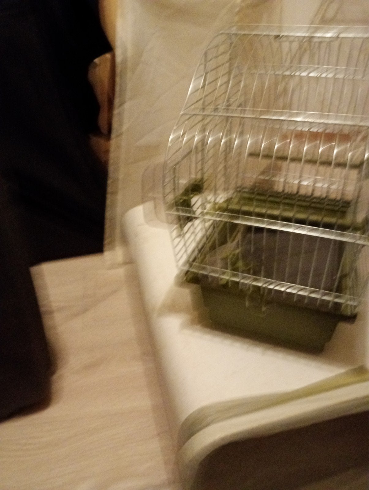 Vogelkooi, kleine voor reis in auto bijv. + bakjes, Ophalen, Nieuw, Metaal, Vogelkooi