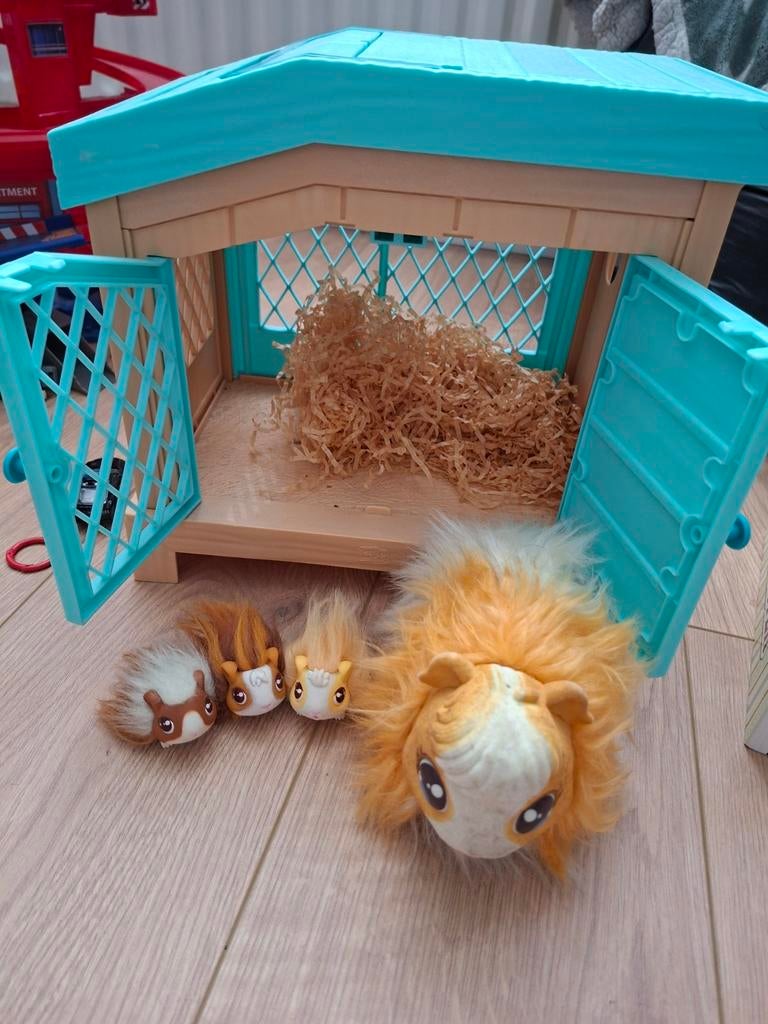 Cavia mama en baby's, Ophalen of Verzenden