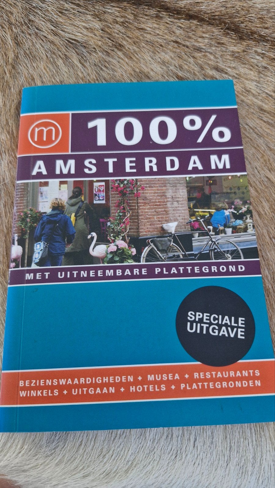 100% Amsterdam Reisgids - Met uitneembare plattegrond, Overige merken, Europa, Ophalen of Verzenden, Zo goed als nieuw