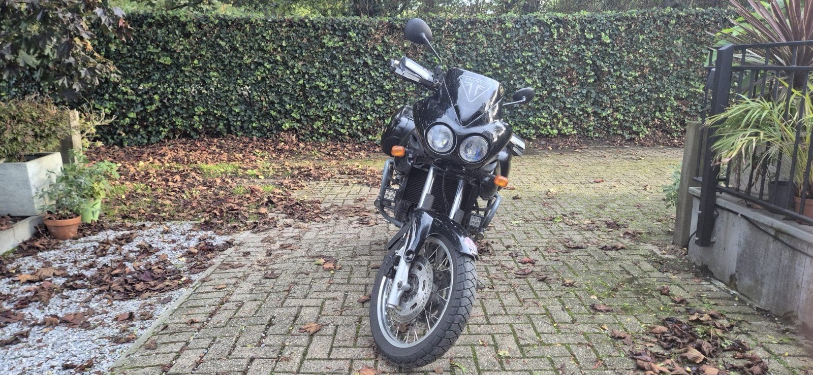 Triumph Tiger 955i 2002, Handvatverwarming, Motorrijbewijs A, Gebruikt, 3 cilinders