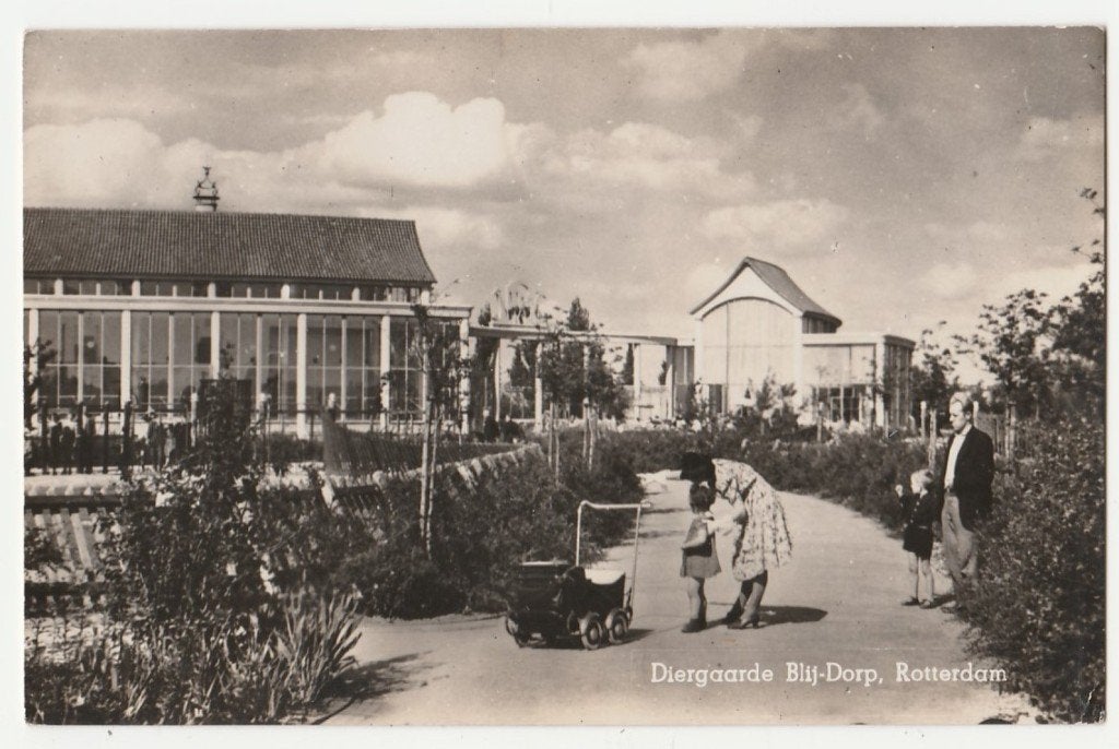 Dierentuinen.  Diergarde Blijdorp.  Rotterdam., Verzenden, 1940 tot 1960, Ongelopen, Overige thema's