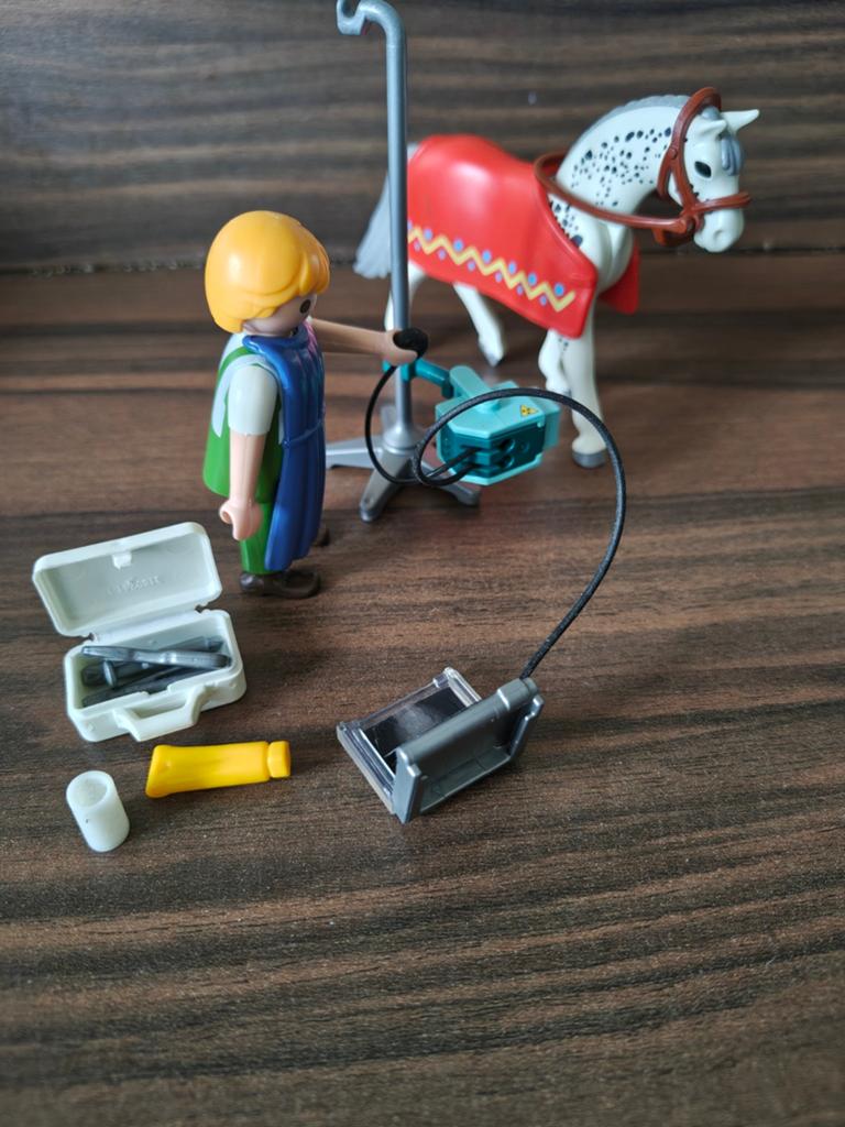 Playmobil paard met dierenarts en accessoires, Ophalen of Verzenden, Gebruikt, Complete set