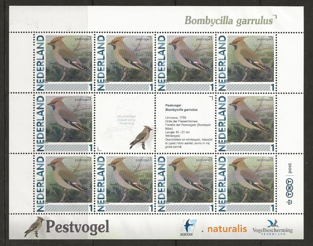 Vel persoonlijke zegels, Vogels Pestvogel postfris, Postzegels en Munten, Postzegels | Nederland, Ophalen of Verzenden, Postfris