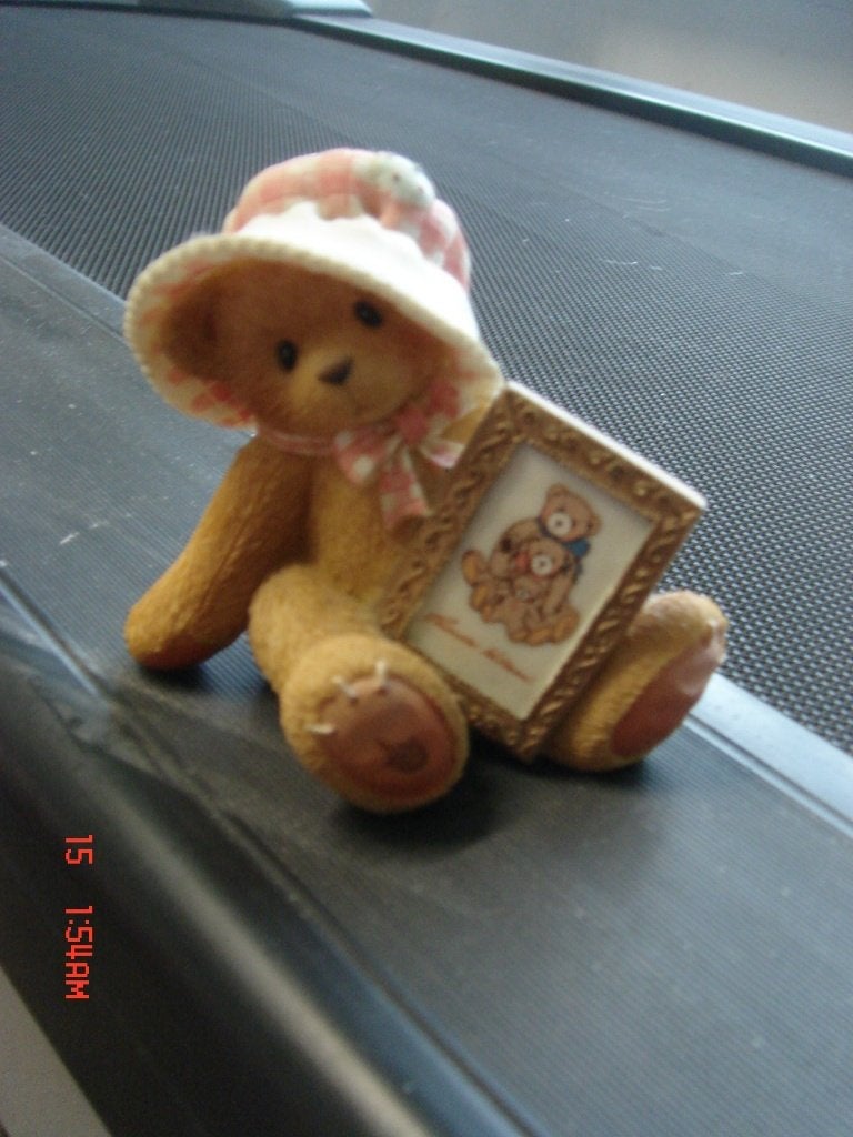 Cherished Teddies beertje Sylvia met schilderijtje, Ophalen of Verzenden, Zo goed als nieuw, Beeldje, Cherished Teddies