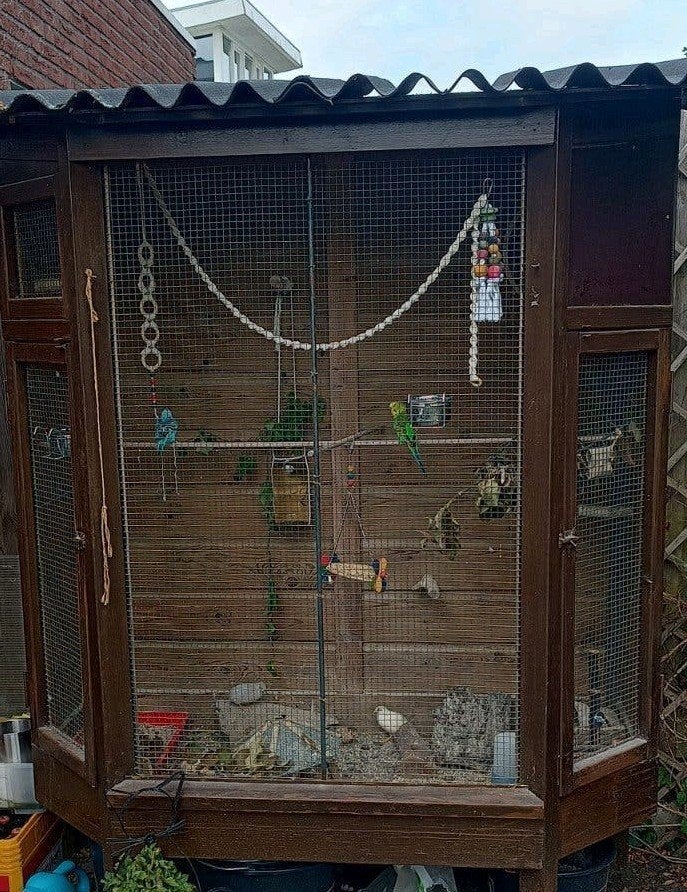 leuke voilere, Dieren en Toebehoren, Ophalen
