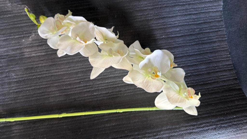 10 paar mooie hangbloemen voor in vaas of pot, Overige kleuren, Ophalen of Verzenden, Minder dan 50 cm, Glas