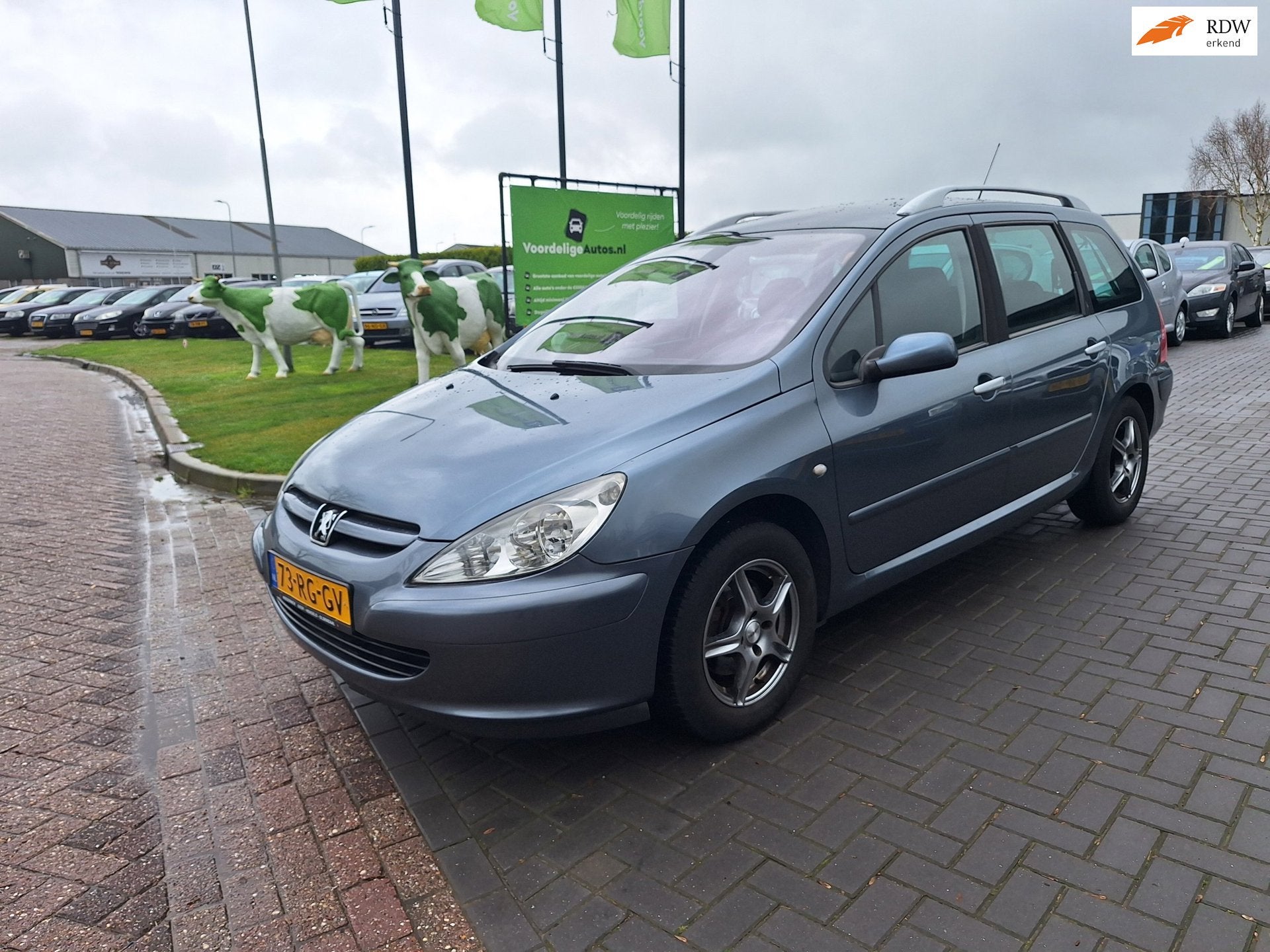 Peugeot 307