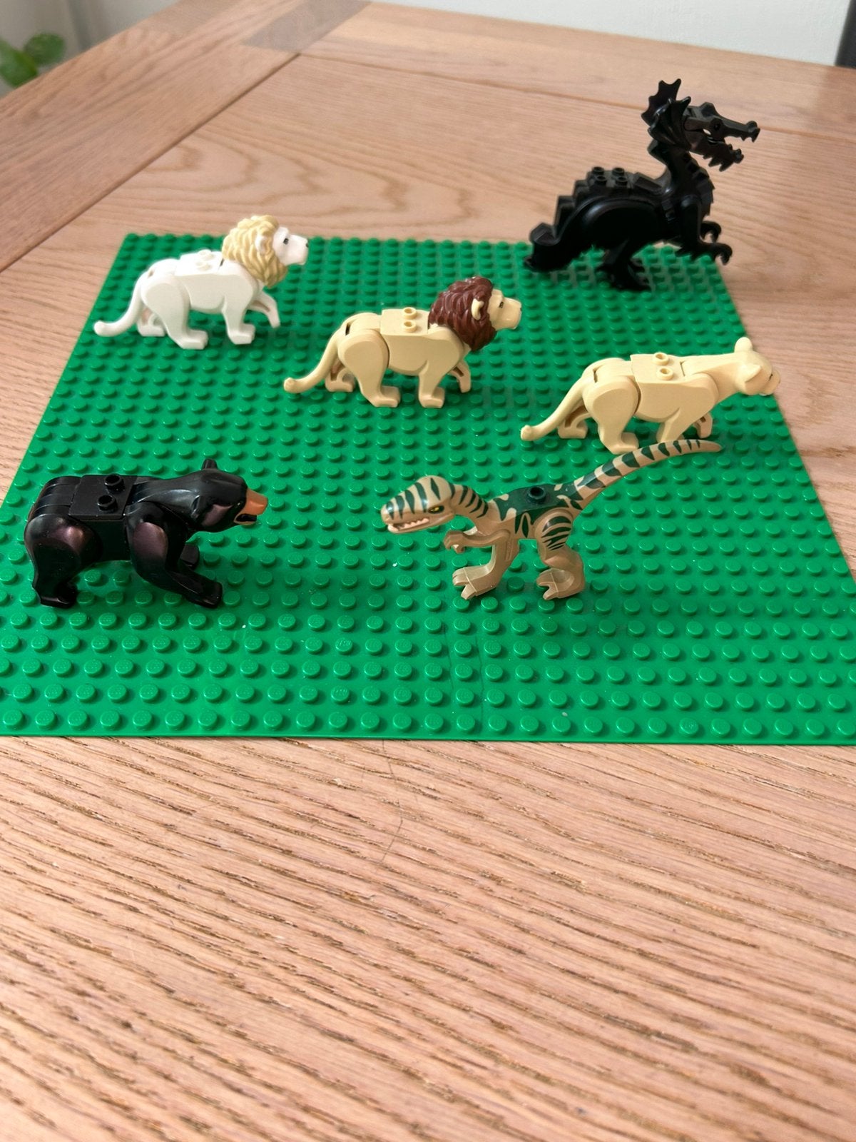 Lego Leeuwen, draak, dino en Beer, Ophalen, Zo goed als nieuw
