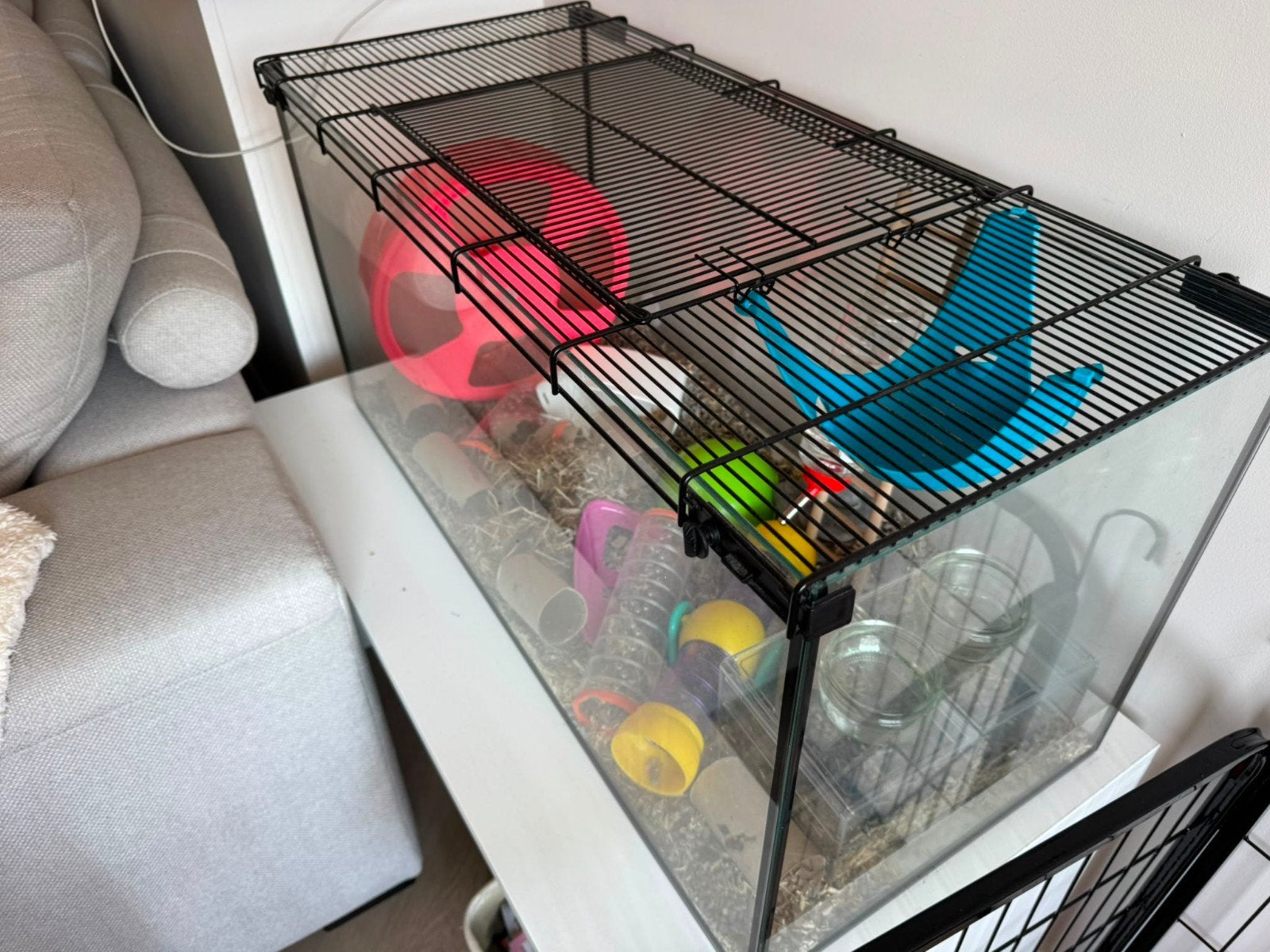 Glazen kooi muizen hamsters knaagdieren 80x40x40, Dieren en Toebehoren, Ophalen, Zo goed als nieuw